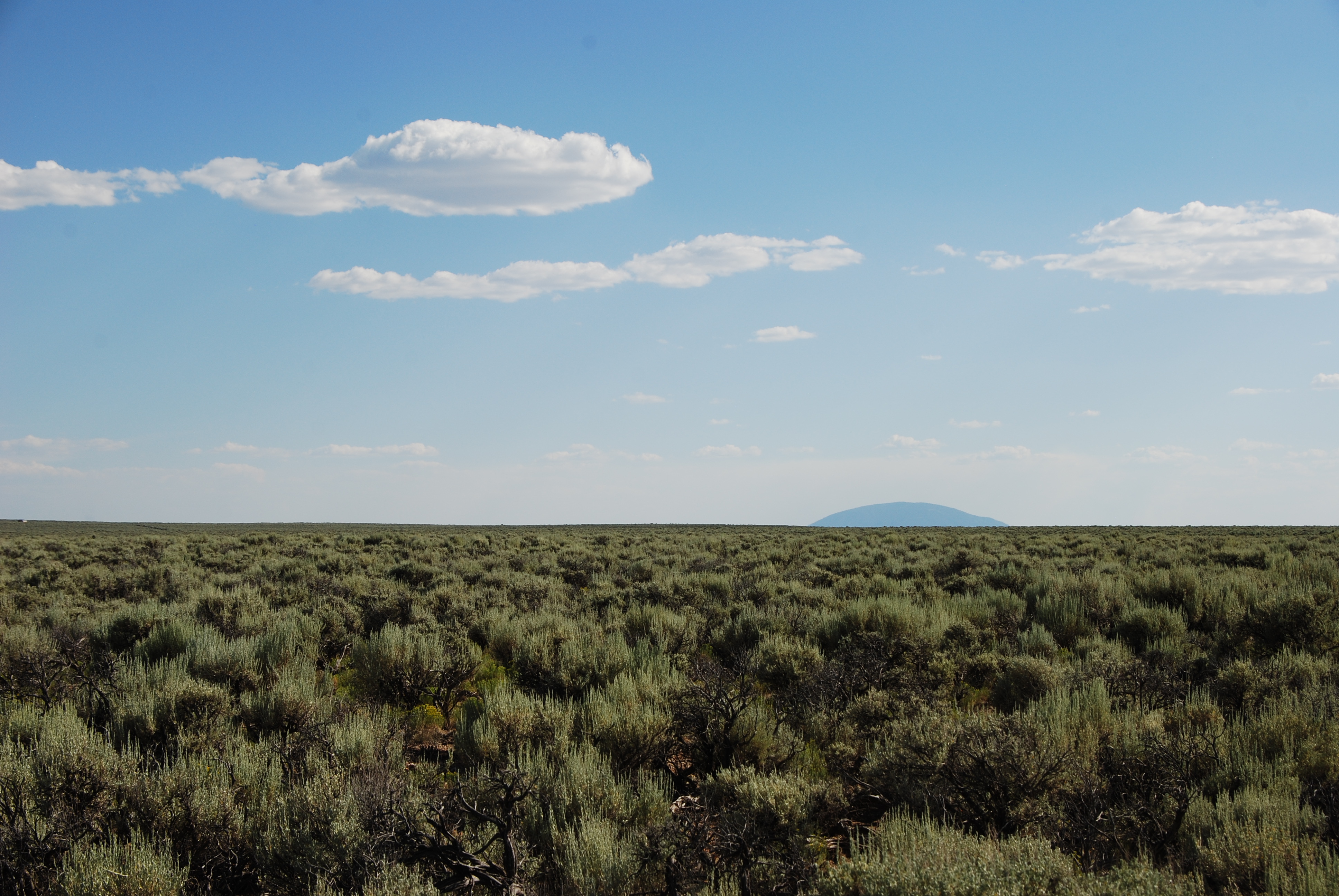 DSC_0256 Open Plains Properties