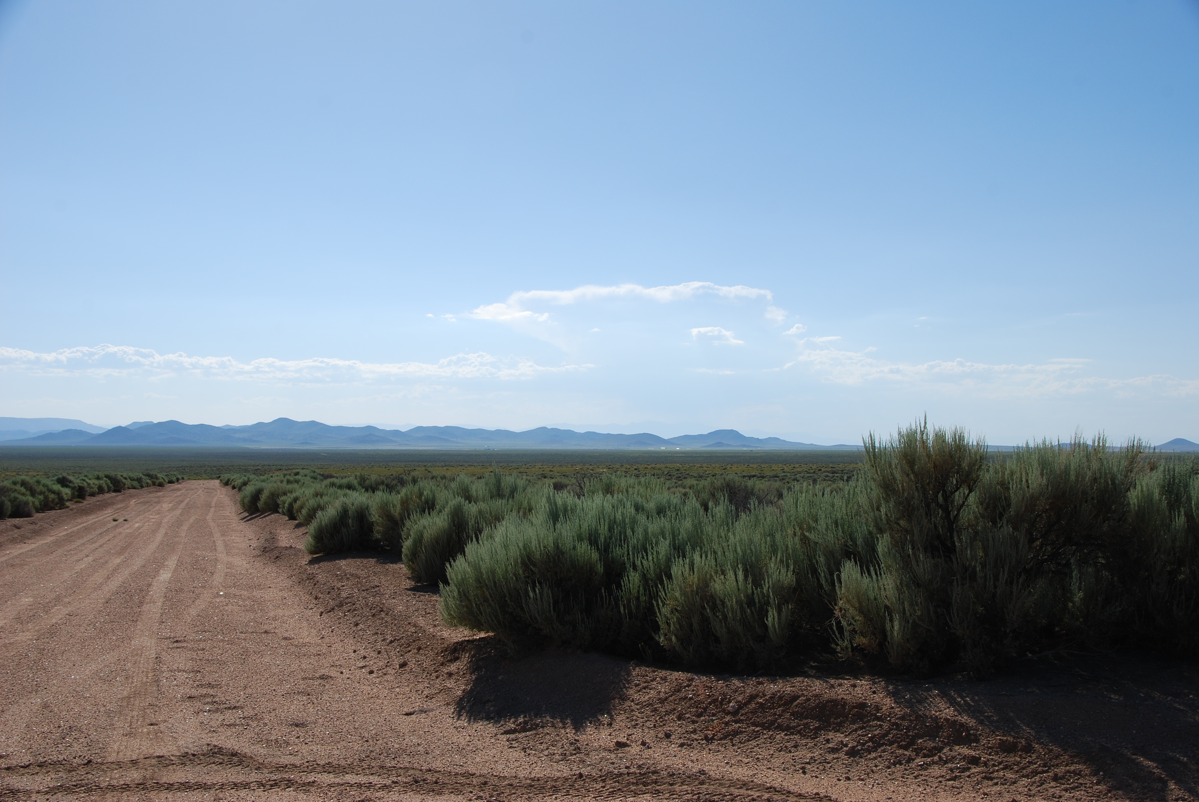 DSC_0278 Open Plains Properties