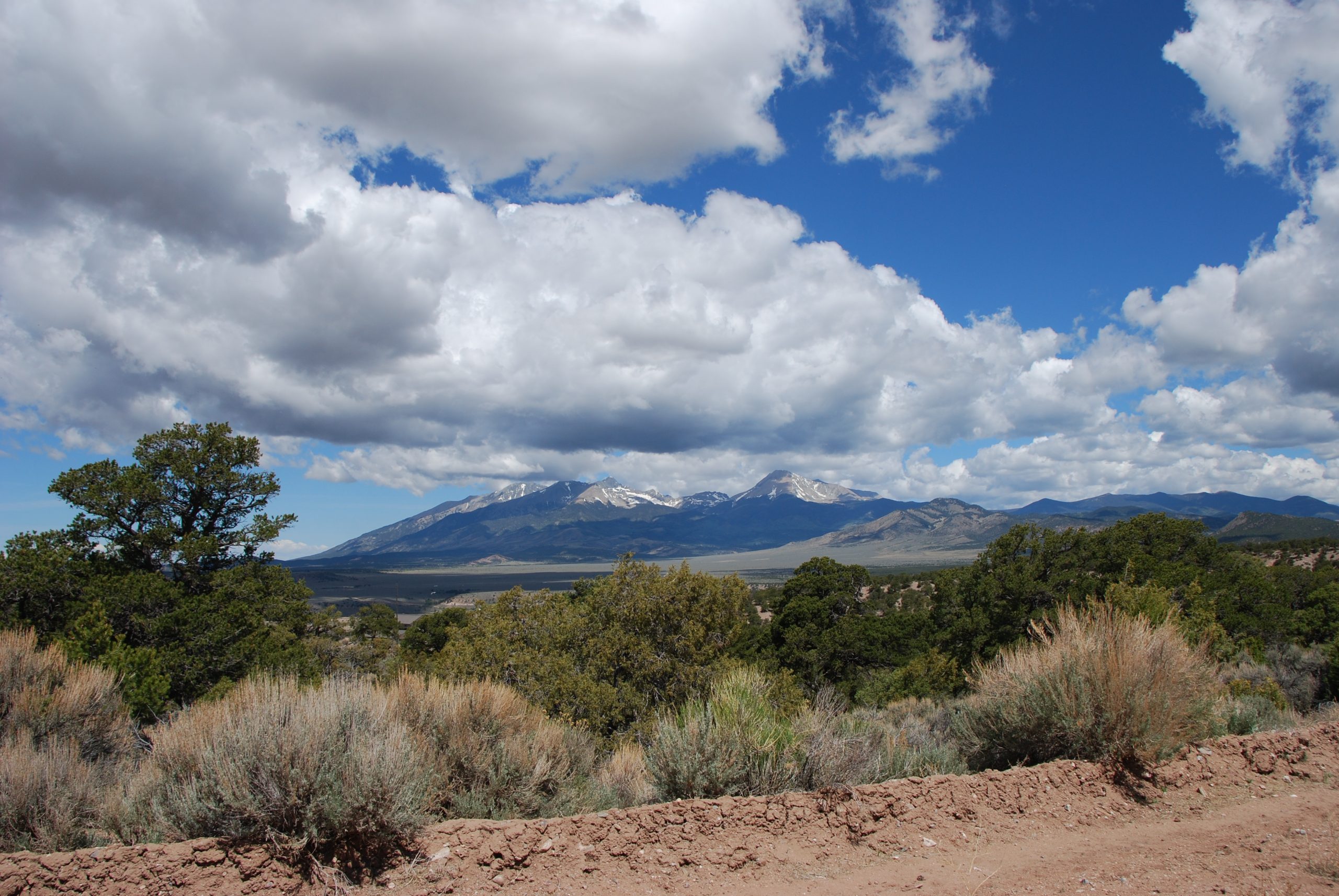 DSC_0331 Open Plains Properties