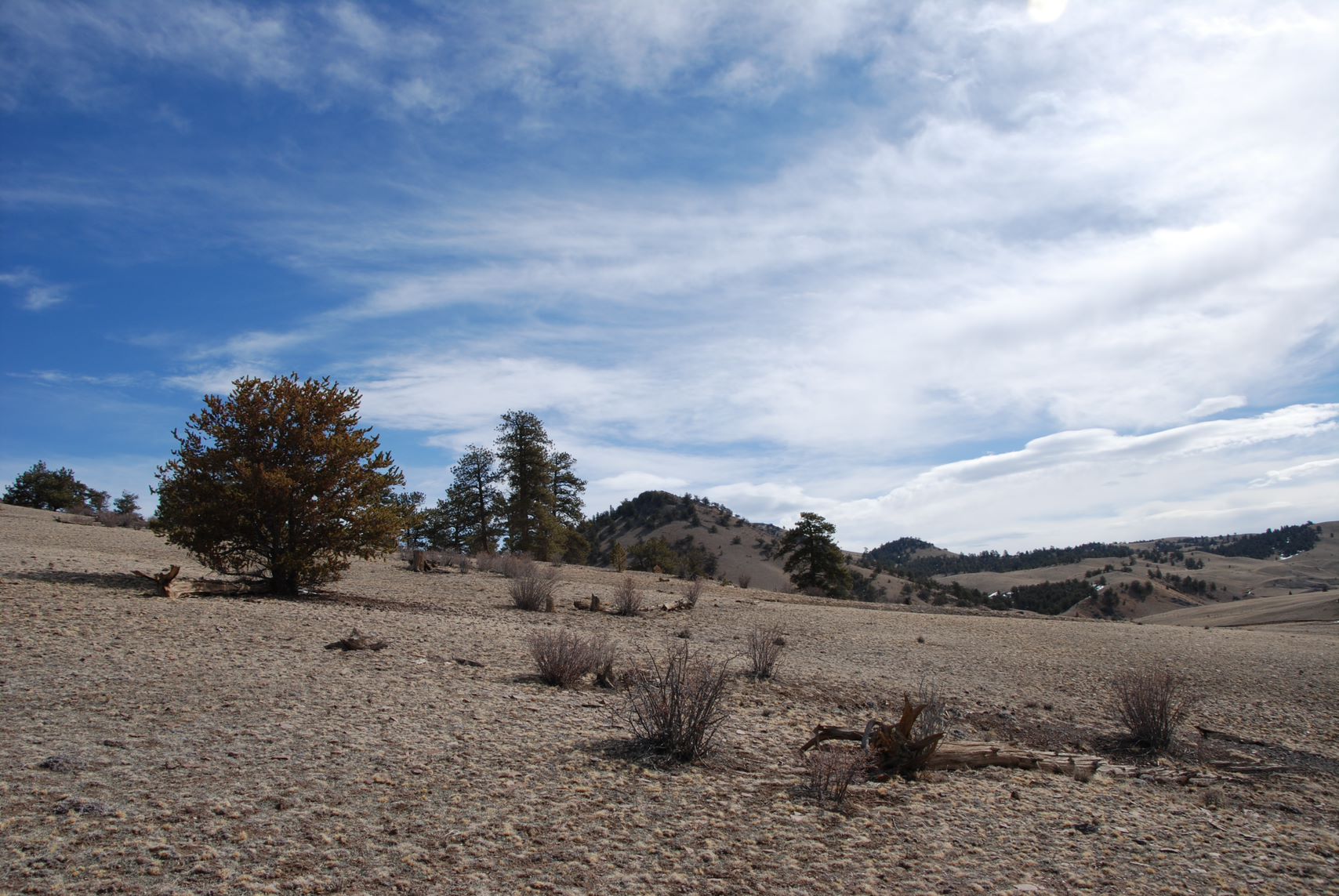 DSC_0586 Open Plains Properties