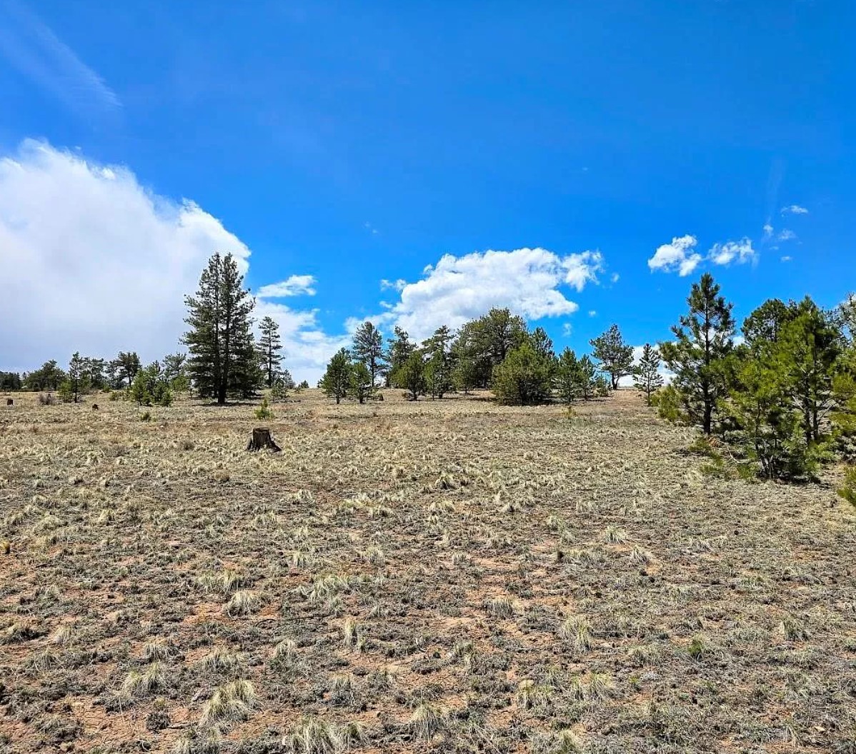 SOLD > 4.7 residential acres in Park County, CO on Comanche Trl Open