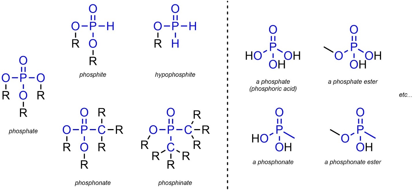 Phosphate Functional Group Example