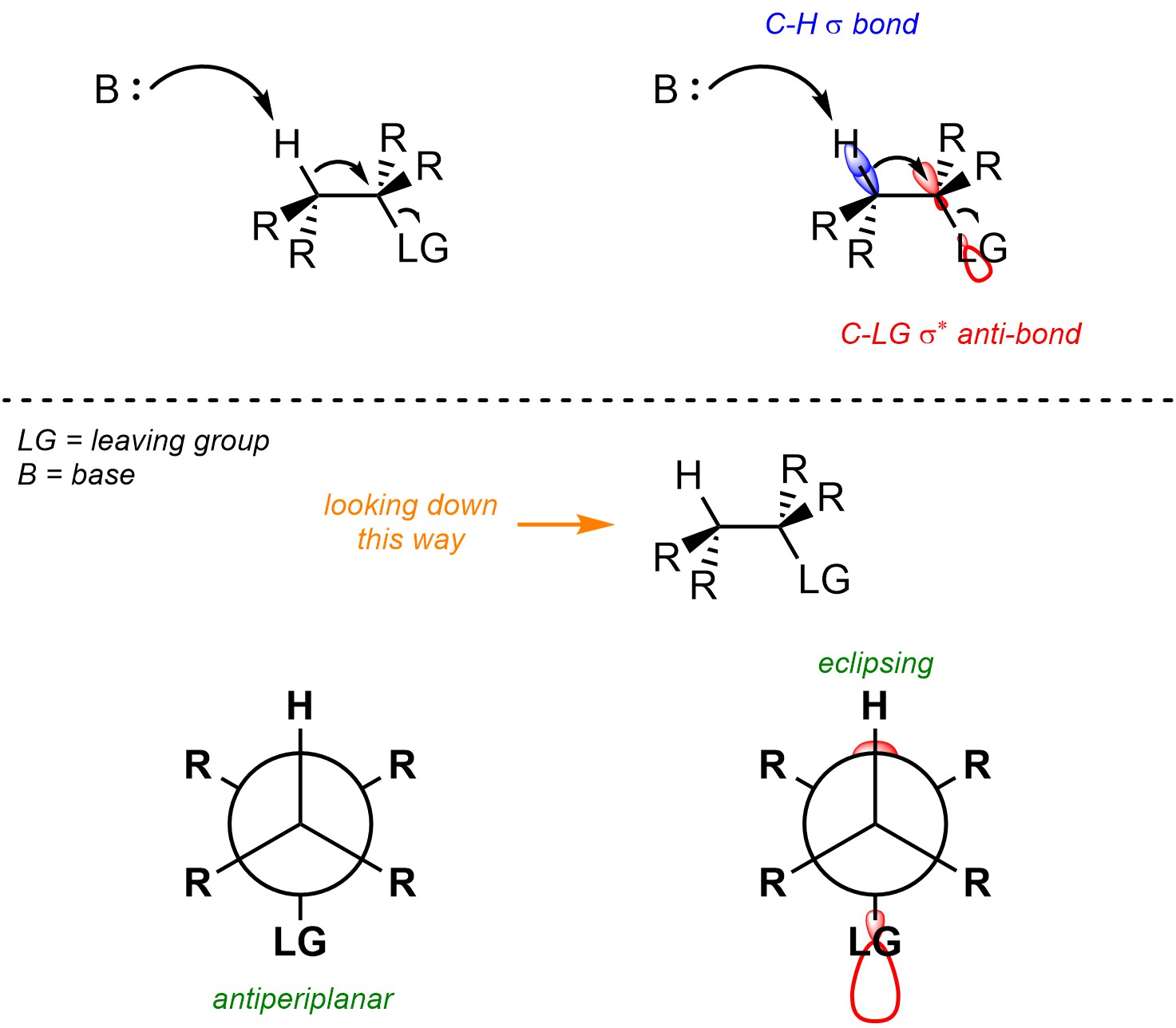 12.2. Elimination Reactions E2 Reactions Introduction to Organic