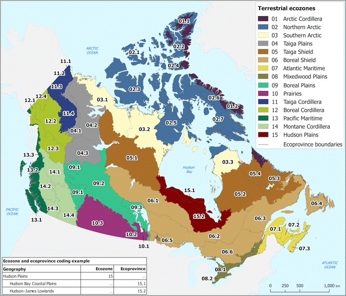 Soils of British Columbia and Yukon The Western Cordillera Digging
