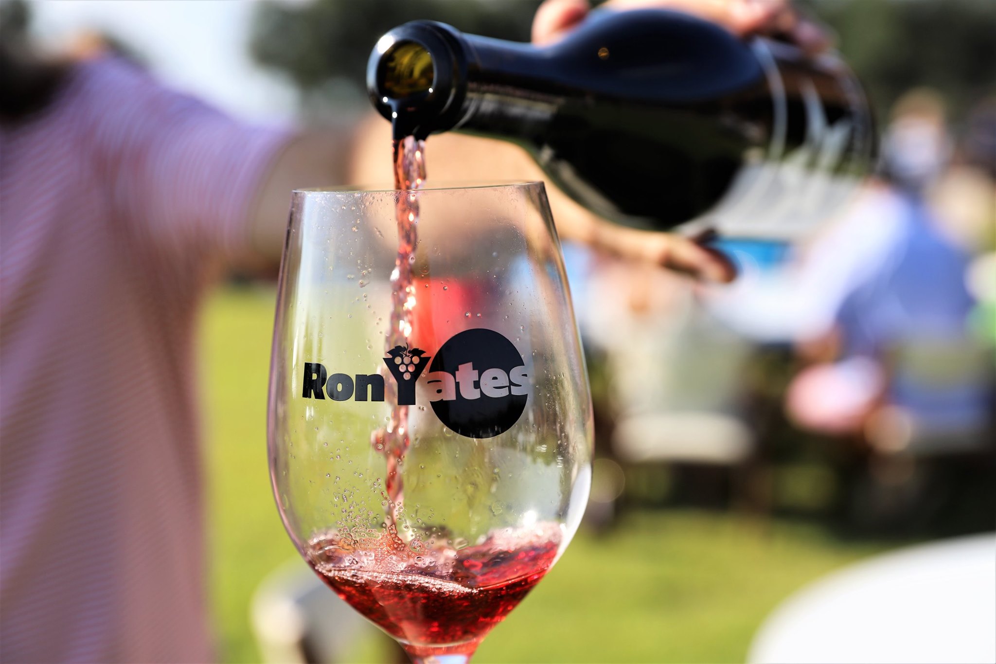 Open Range Tours Fredericksburg, TX Wine Tours Near Me