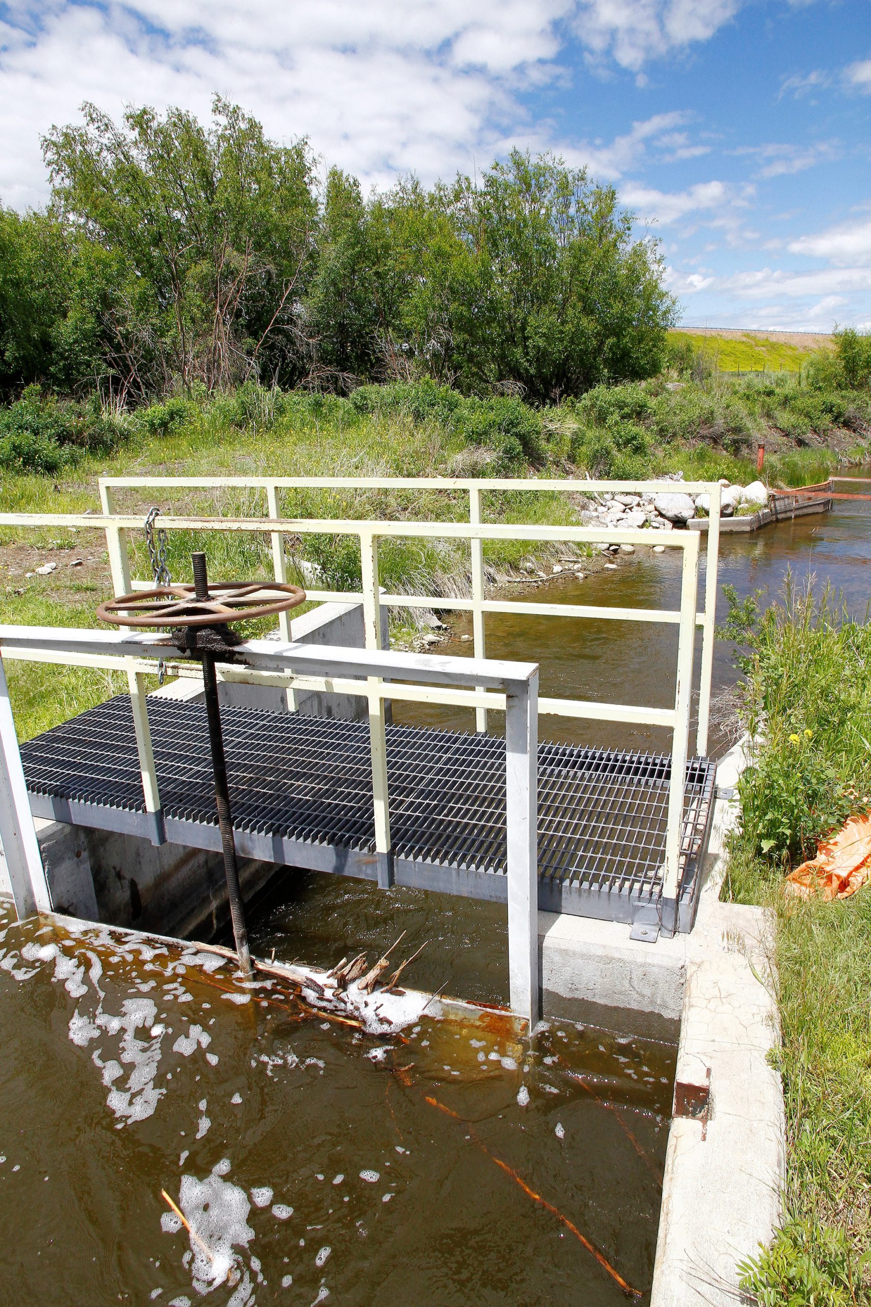 Upper Clark Fork diversions Open Rivers Fund
