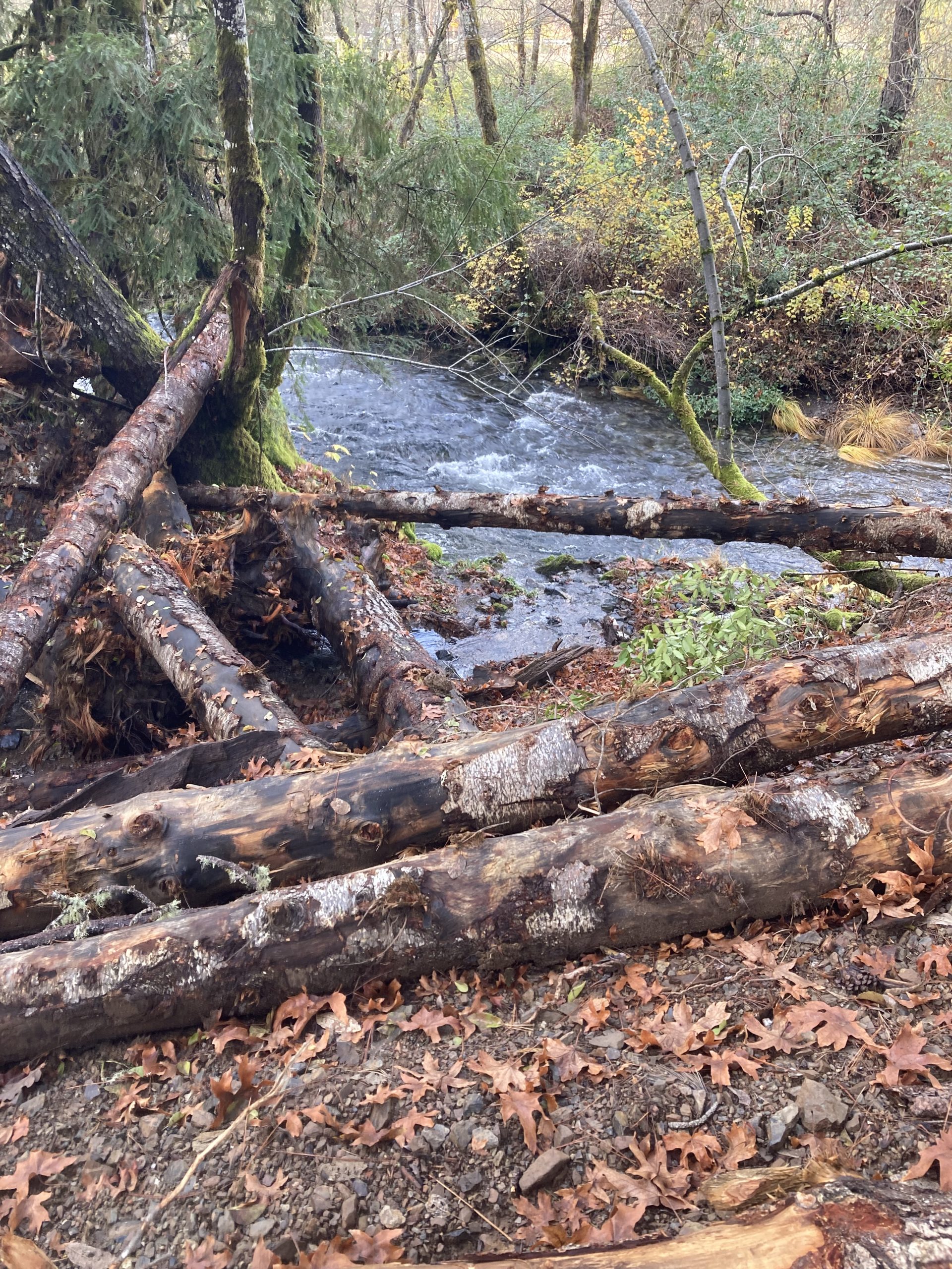 Rogue irrigation dams Open Rivers Fund