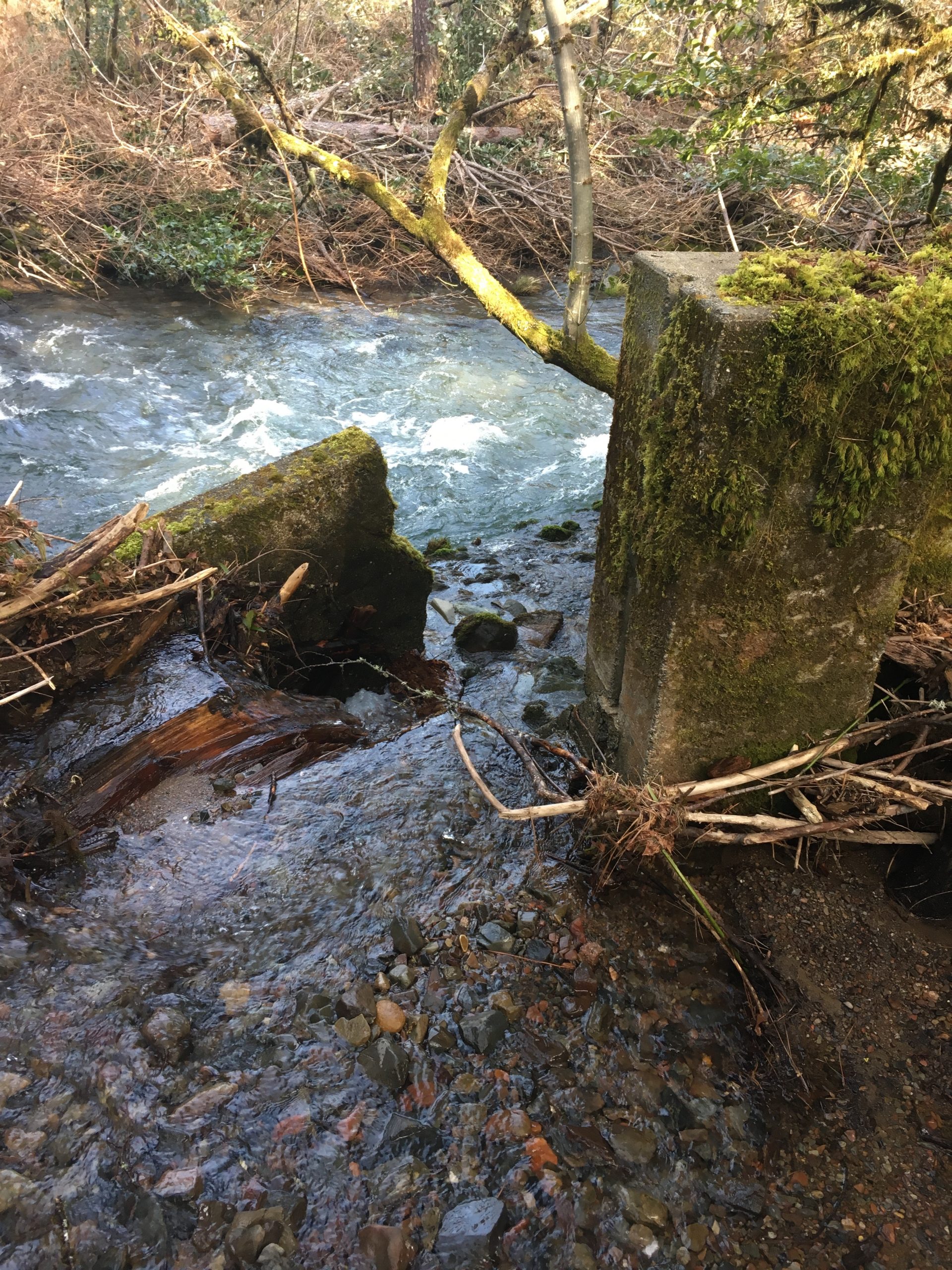 Rogue irrigation dams Open Rivers Fund