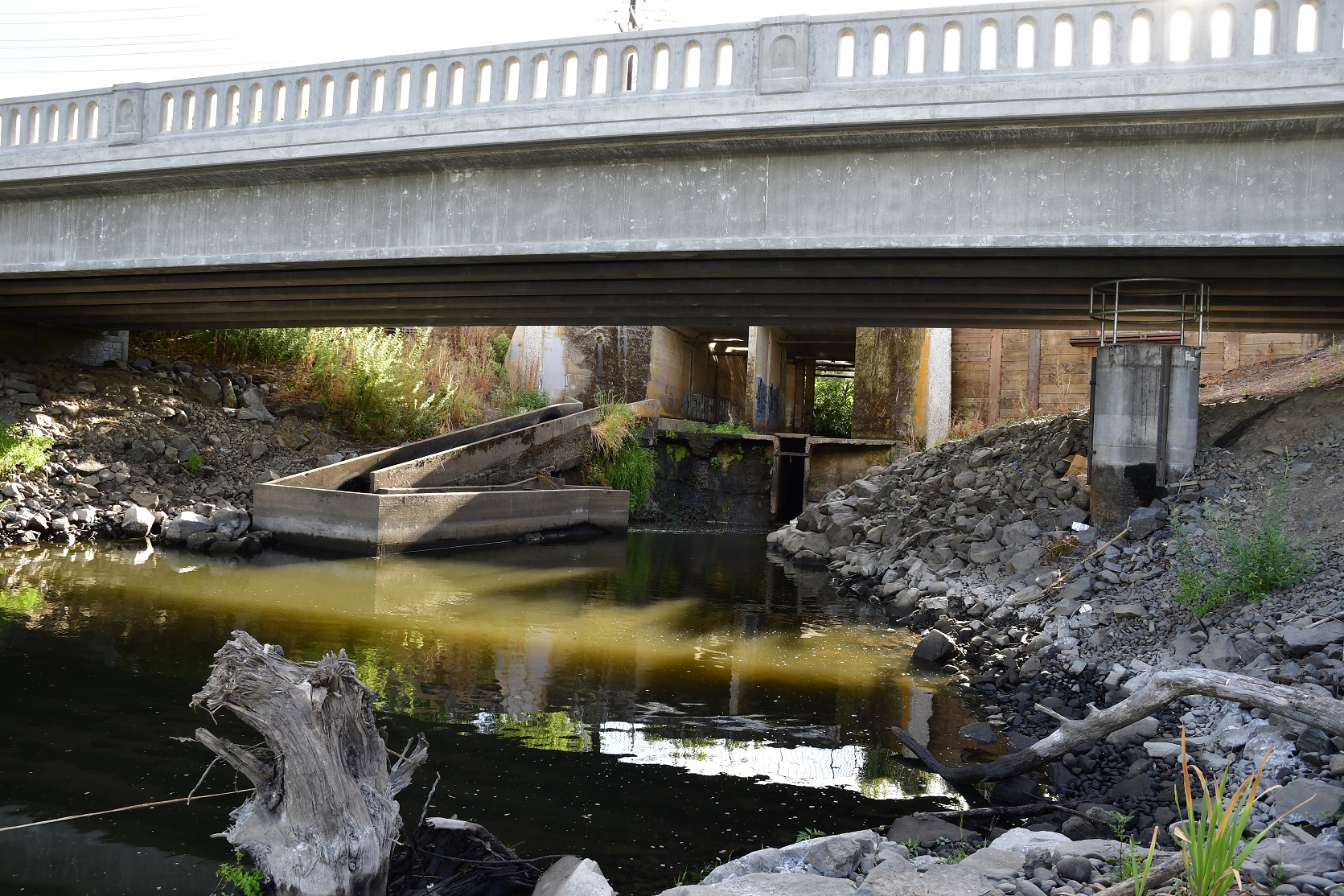 Kellogg Dam Open Rivers Fund