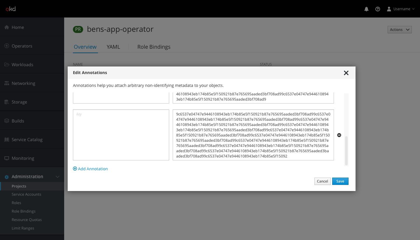 Annotations OpenShift Design