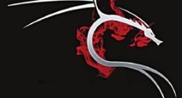 BackTrack 4: A One-Stop Shop for Security Analysis and Learning