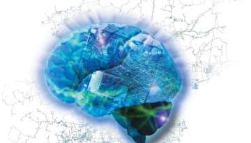 Keras: Building Deep Learning Applications with High Levels of Abstraction