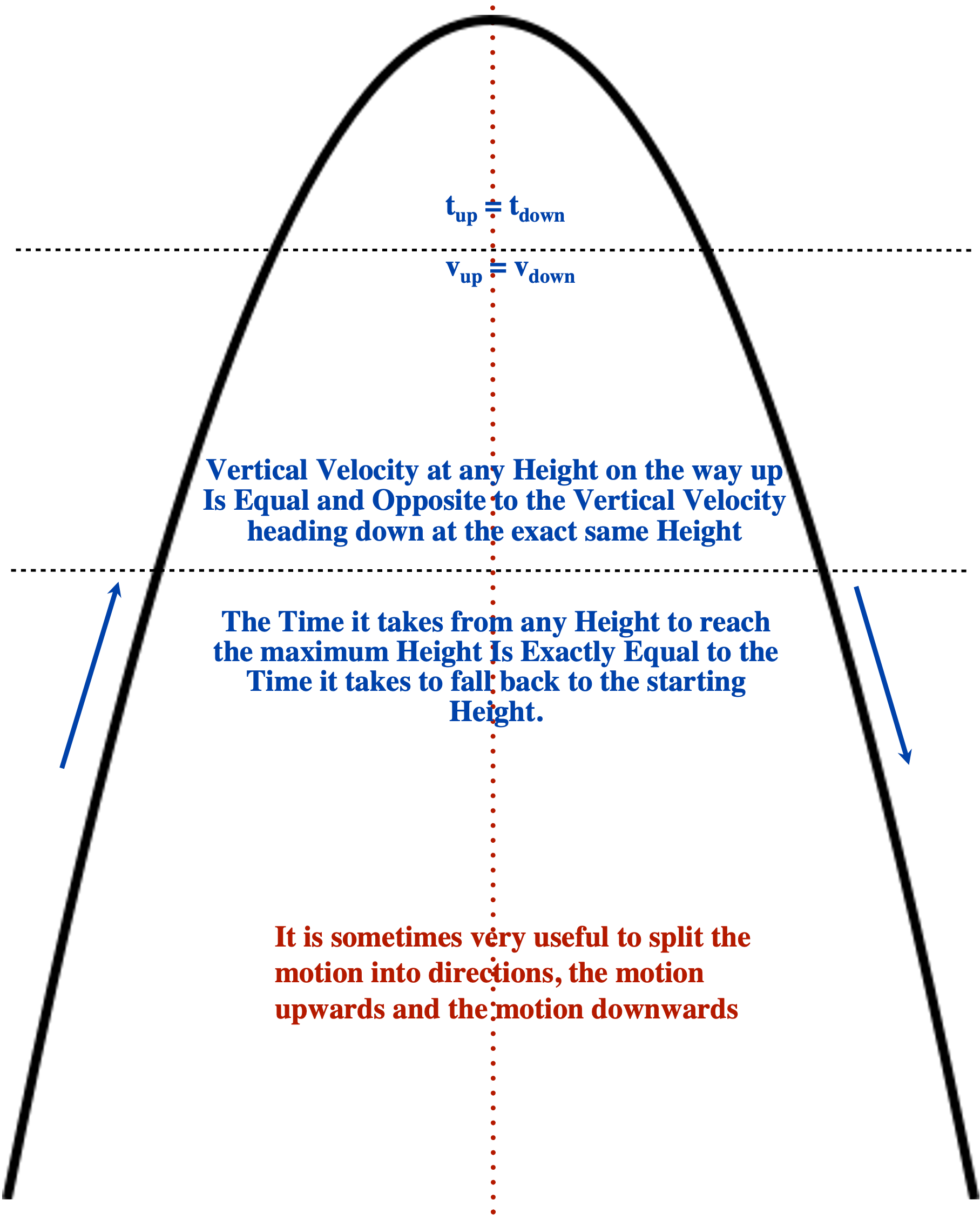 Vertical Motion Foundations of Physics