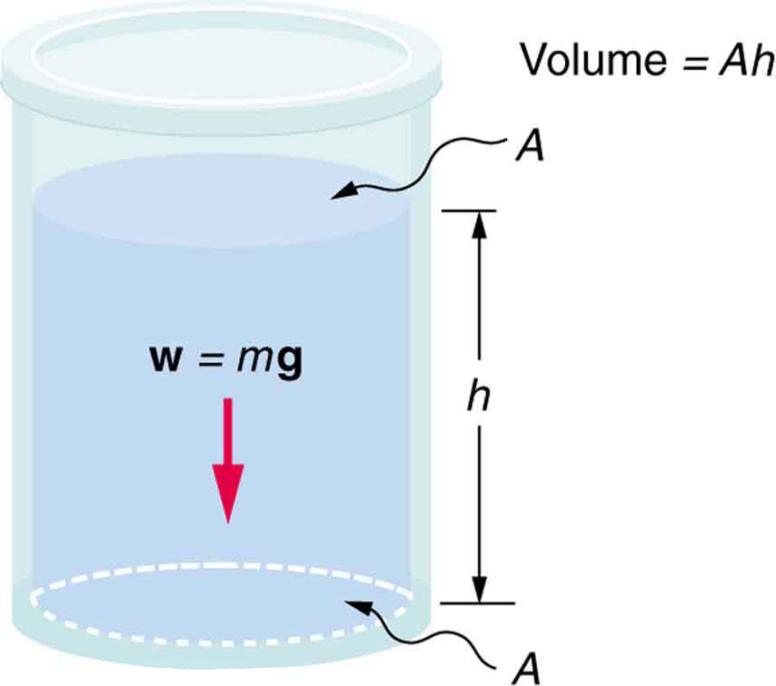 Variation of Pressure with Depth in a Fluid College Physics