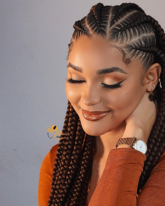 Latina Braids Hairstyles Celebrating Culture and Beauty