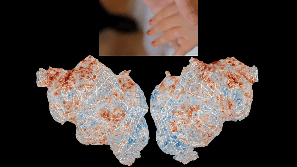 Engineering Thoughts and Memories Jack Gallant Open Transcripts