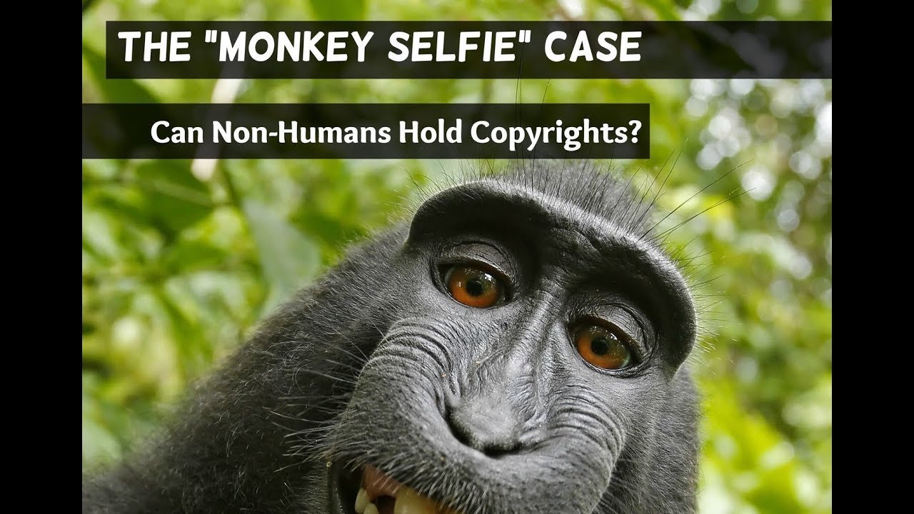 The “Monkey Selfie” Case Can NonHumans Hold Copyrights? Jonathan Lovvorn, Kendra Albert