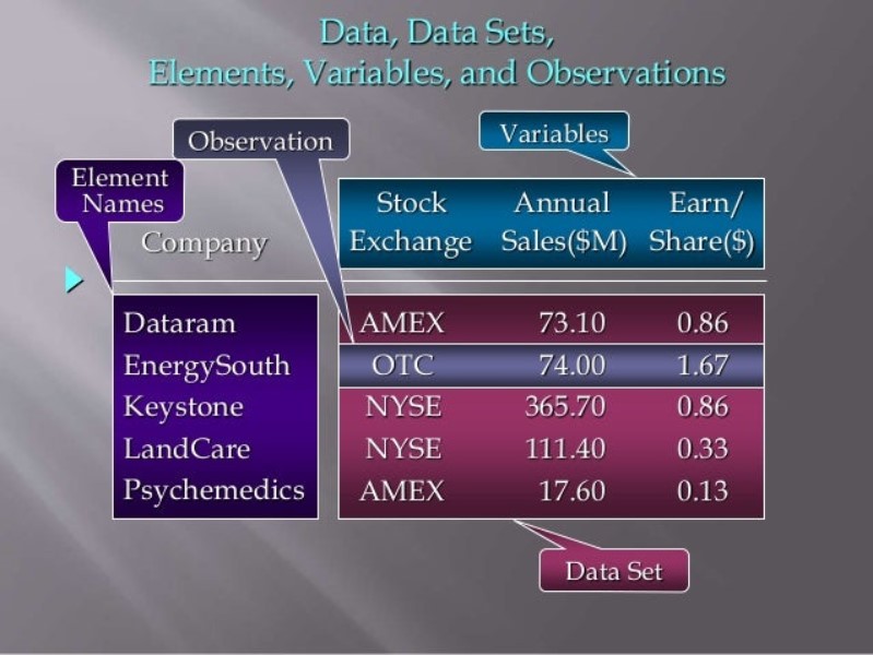 Explain the meaning of an element variable observation and a data set