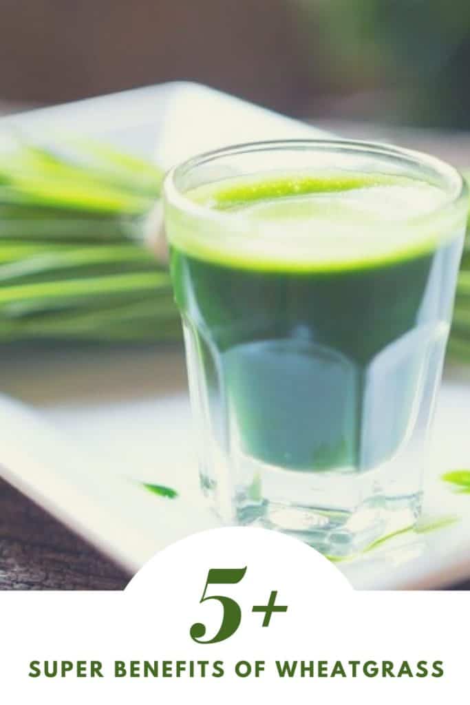 5+ Super Benefits of Wheatgrass Gastric Bypass Gal