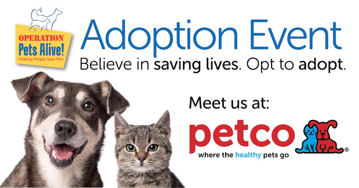 Pet Adoptions at Cypresswood Petco Operation Pets Alive