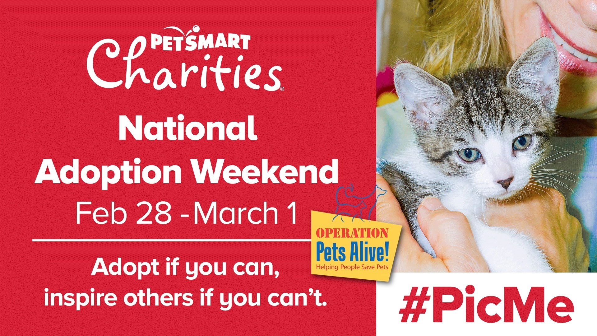 PicMe! Adopt at PetSmart this Weekend! Operation Pets Alive