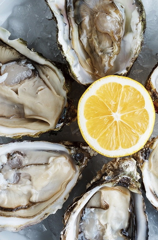 oysterstestosteroneboost OPiA Celebrate Champagne