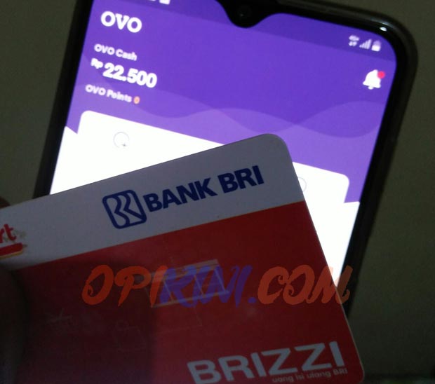 Top Up BRIZZI Via OVO Cara dan Resikonya Opikini