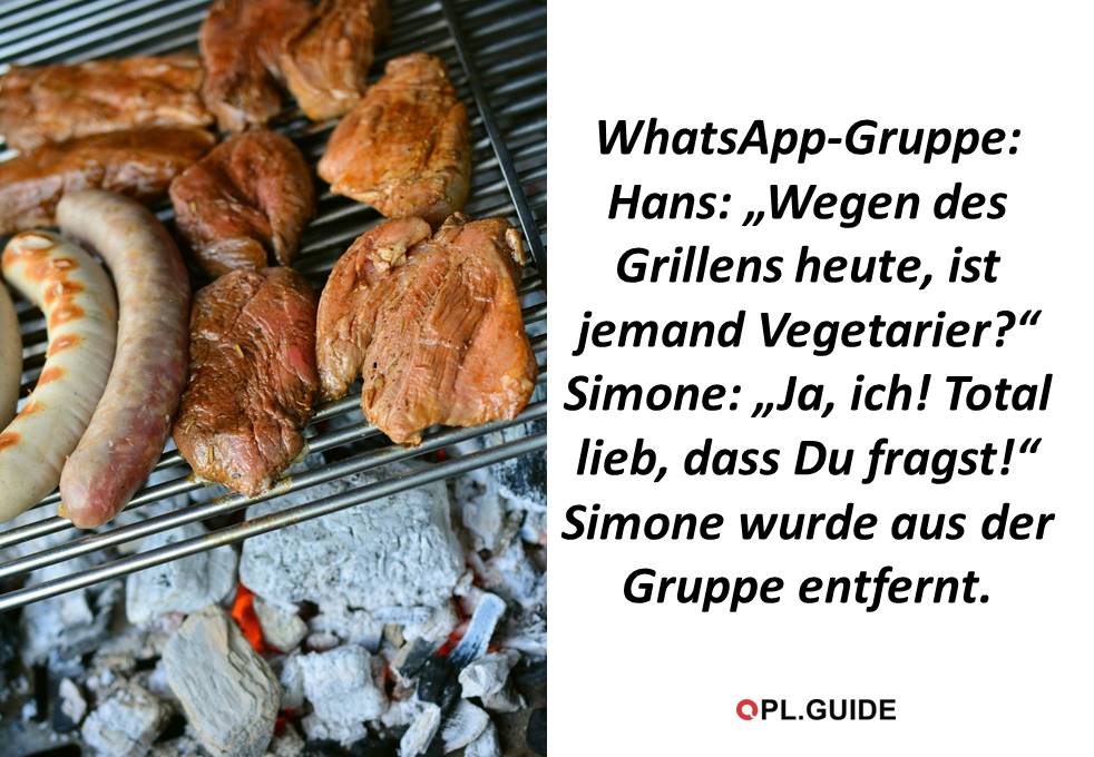Vorsicht dummer Spruch! opl.guide