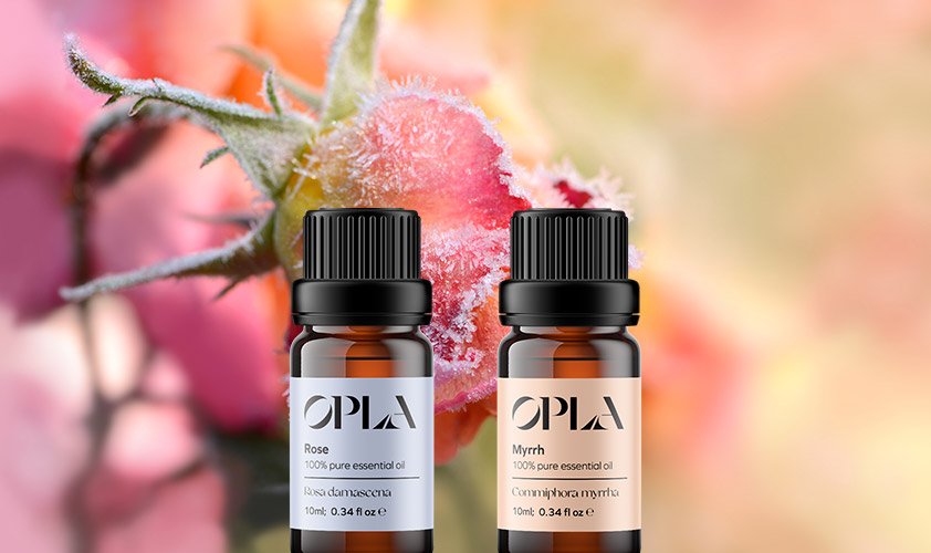 What is solvent extraction of essential oils • OPLA Essentials