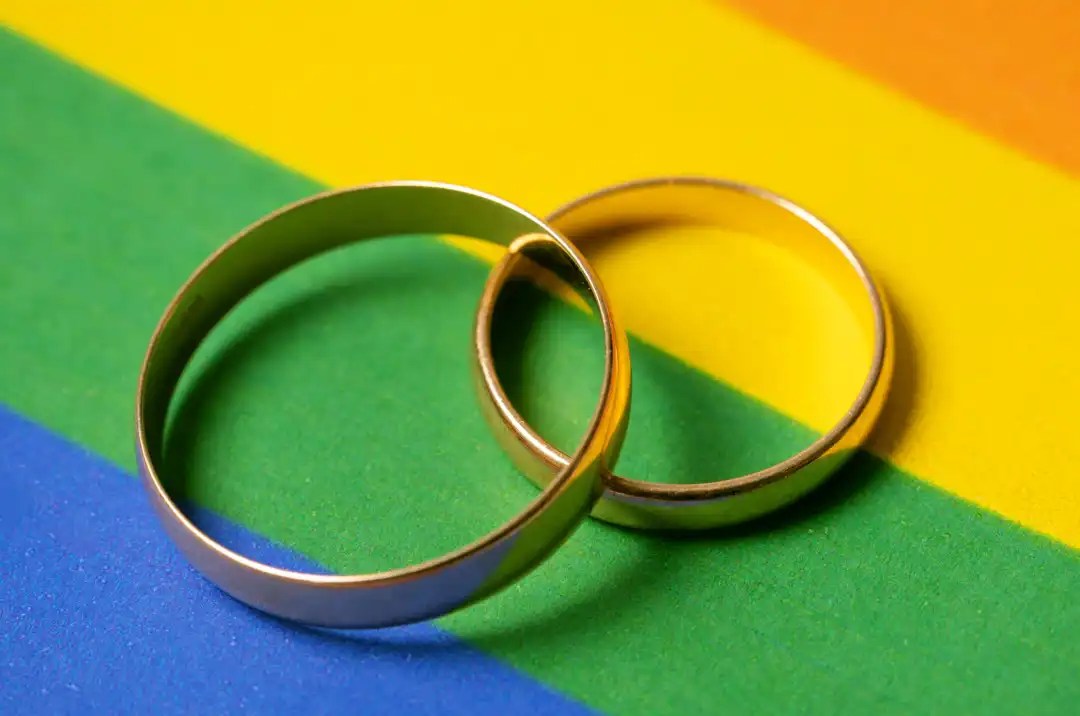 November 2023 Divorce for Same Sex Couples and Custody of Embryos