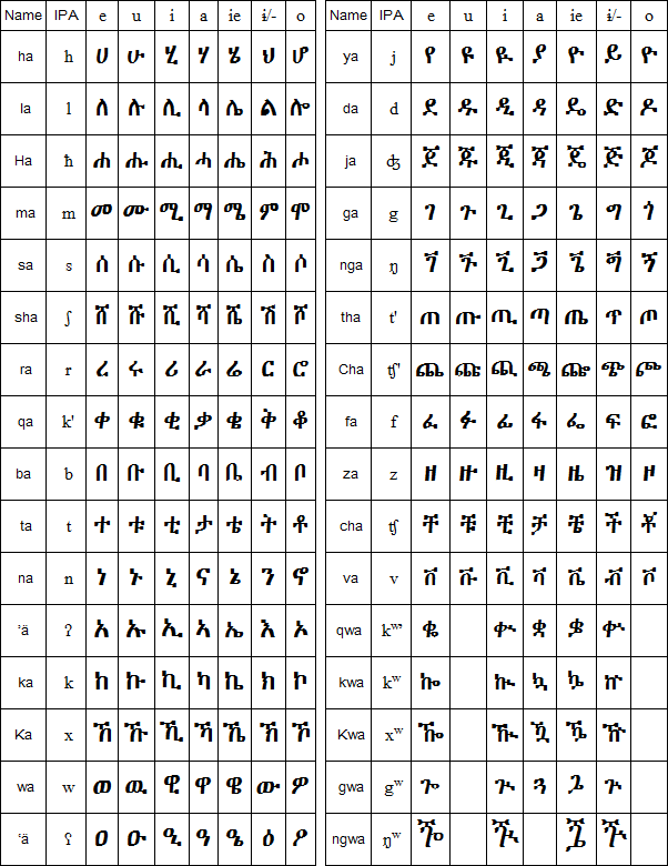 Download Geez Alphabet Oppidan Library