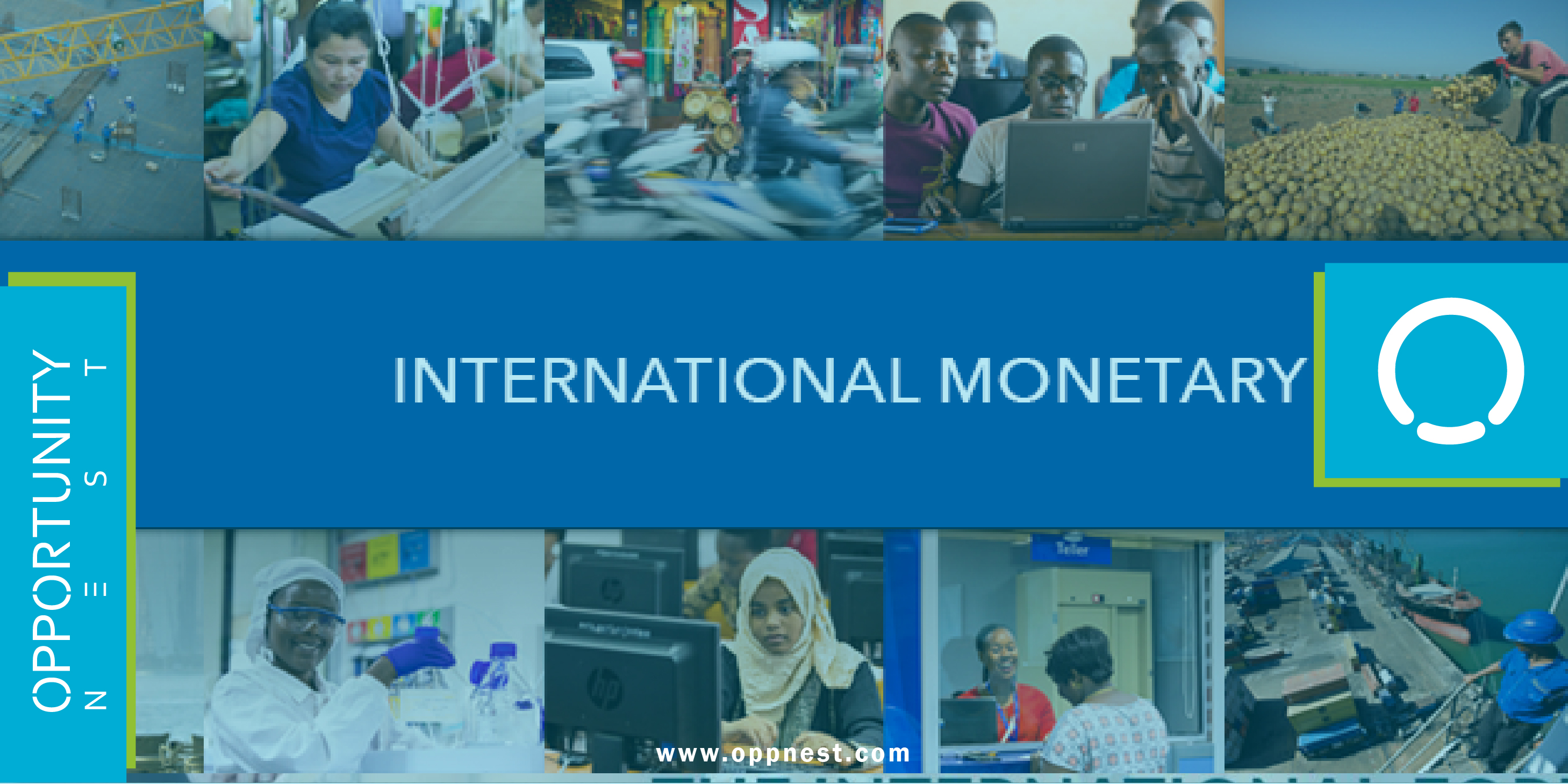 International Fund (IMF) Opportunity Nest