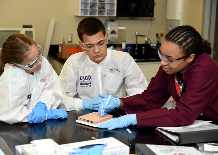 AEOP Summer STEM Apprenticeships 2018 for Students in the US