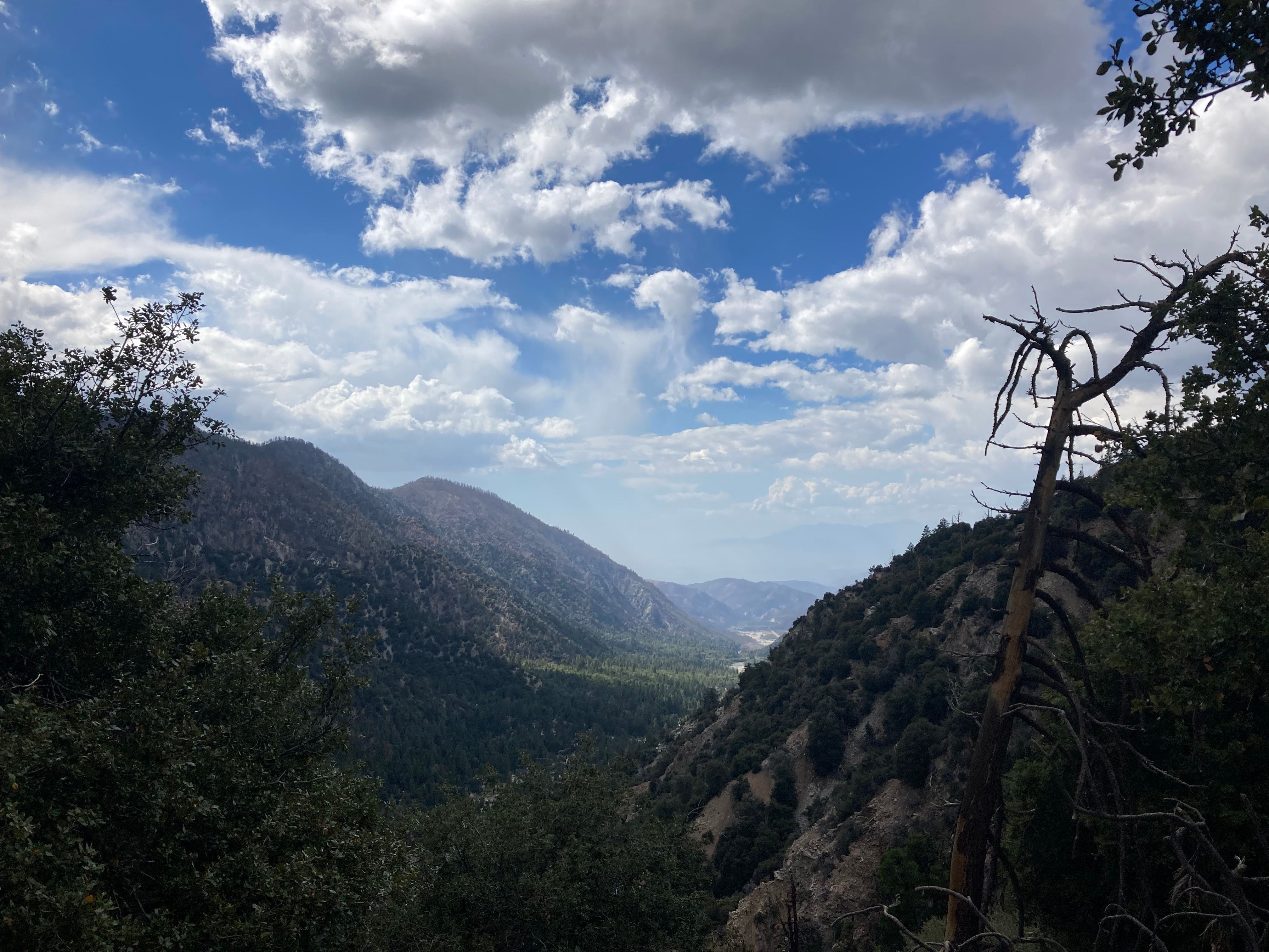 Camping in SoCal Come for the cars, stay for the anarchy