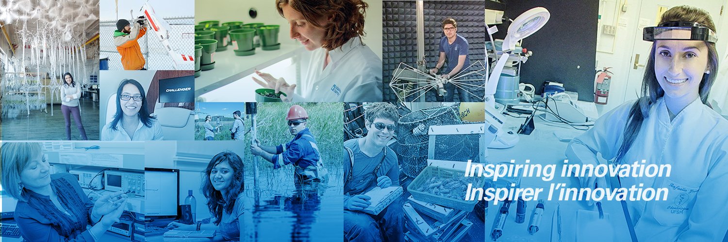 2020 Mitacs/DAAD RISEGlobalink Research Internship