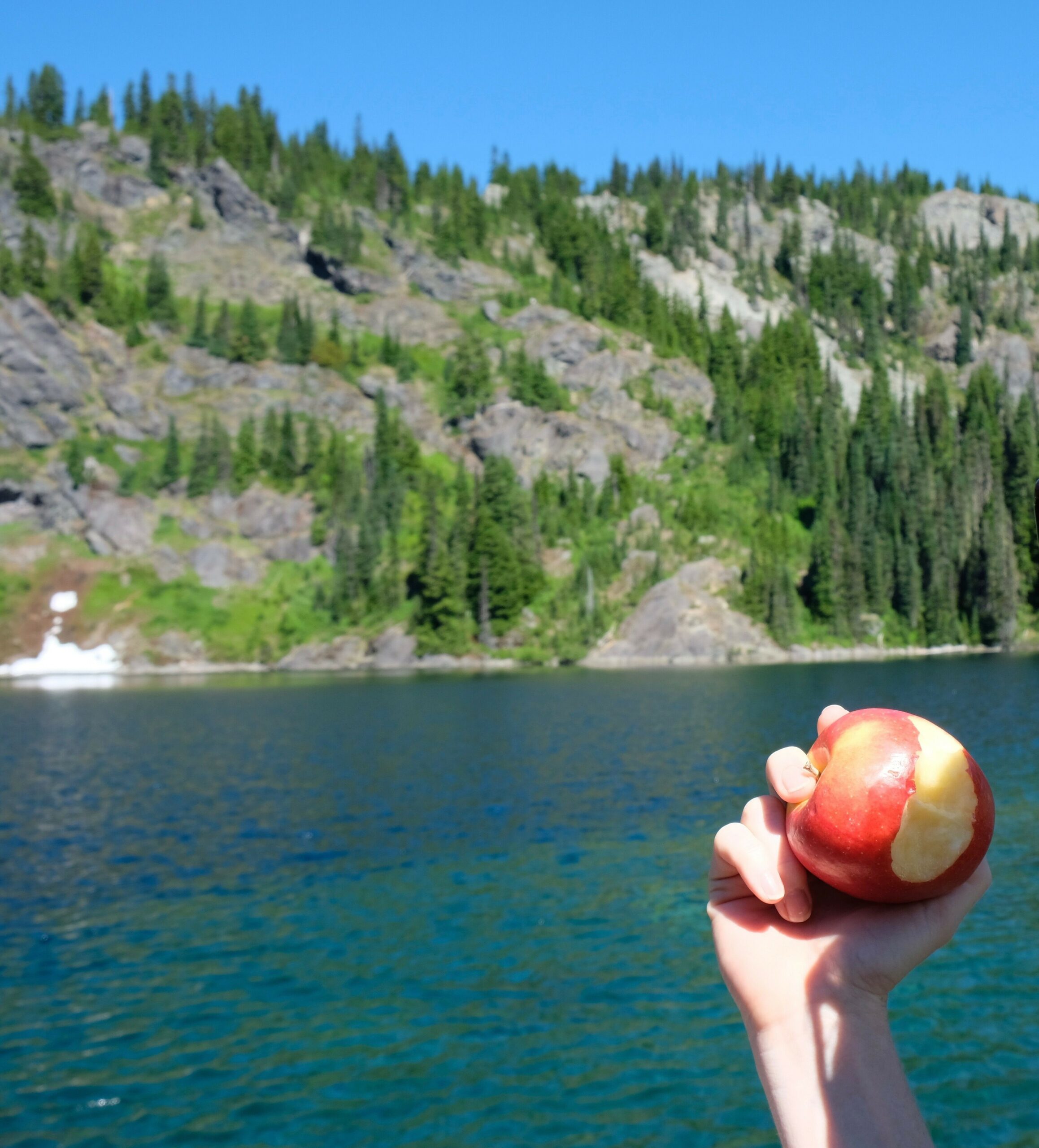 Our News Hear the music from Washington Oppy