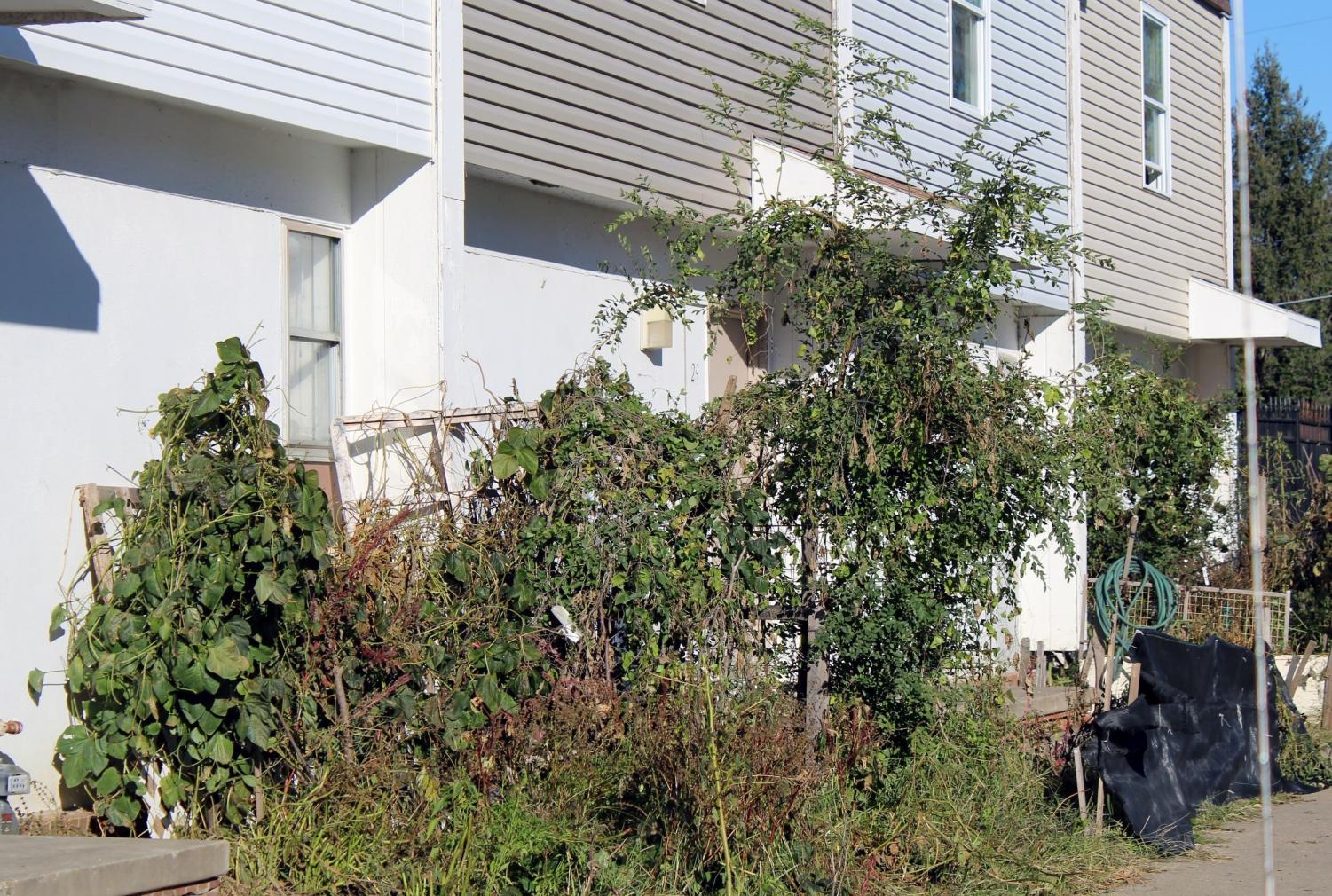 Yale Park Apartments evacuate, stranding refugees The North Star