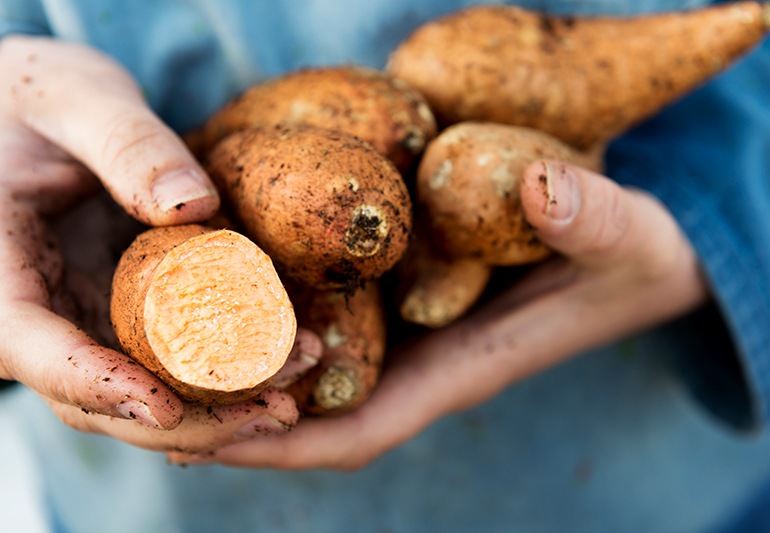 Sweet potatoes vs. potatoes Which are really healthier? [Infographic
