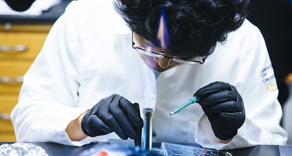 Research UC Berkeley School of Optometry