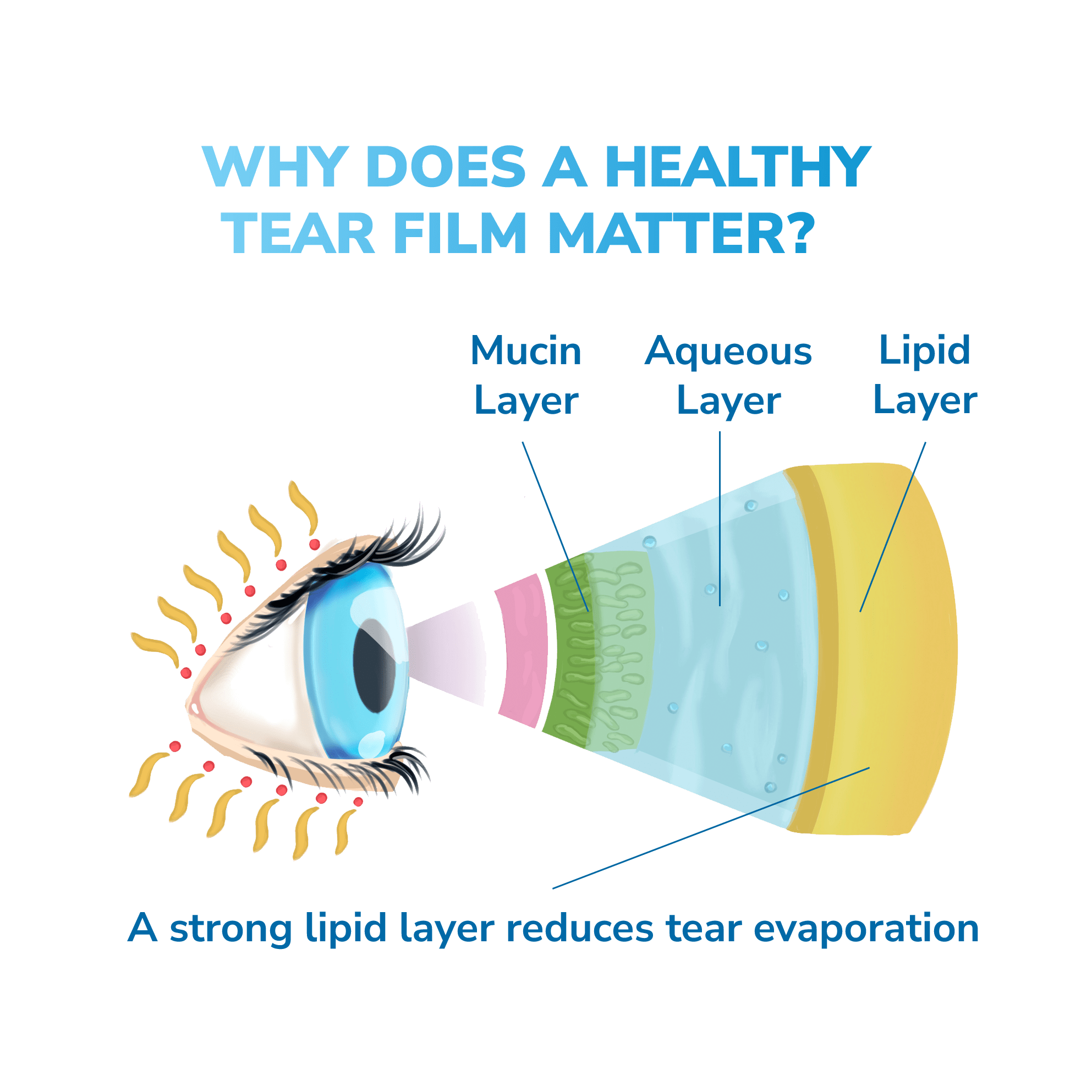 Moist Heat Mask Optase