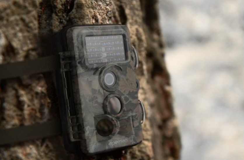 How do Trail Cameras Work An Overview and Tips for Effective Usage