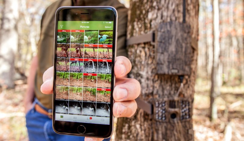 Best Cellular Trail Camera Top Picks and Buying Guide by Expert