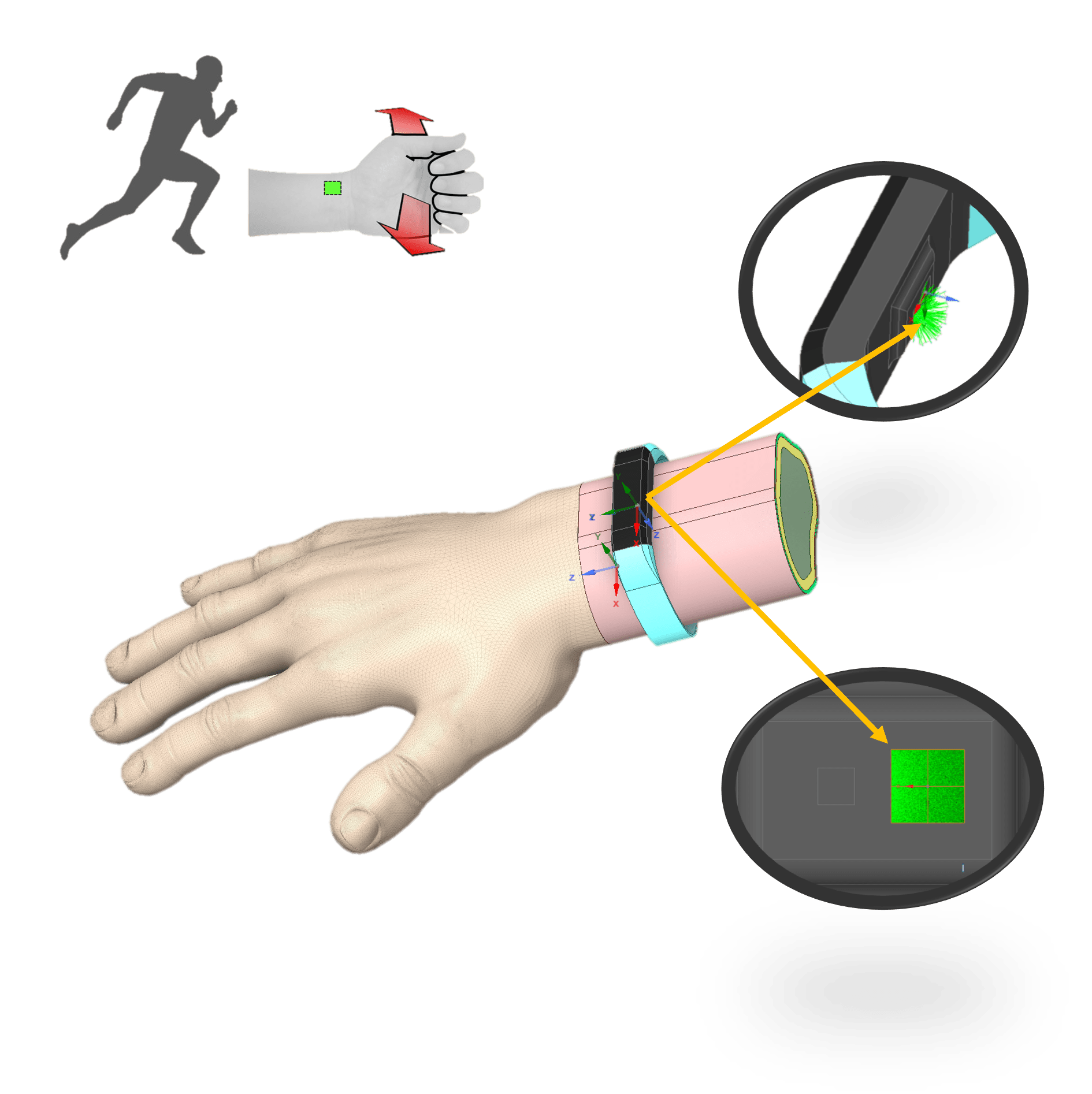 Smart band heart rate sensor Ansys Optics