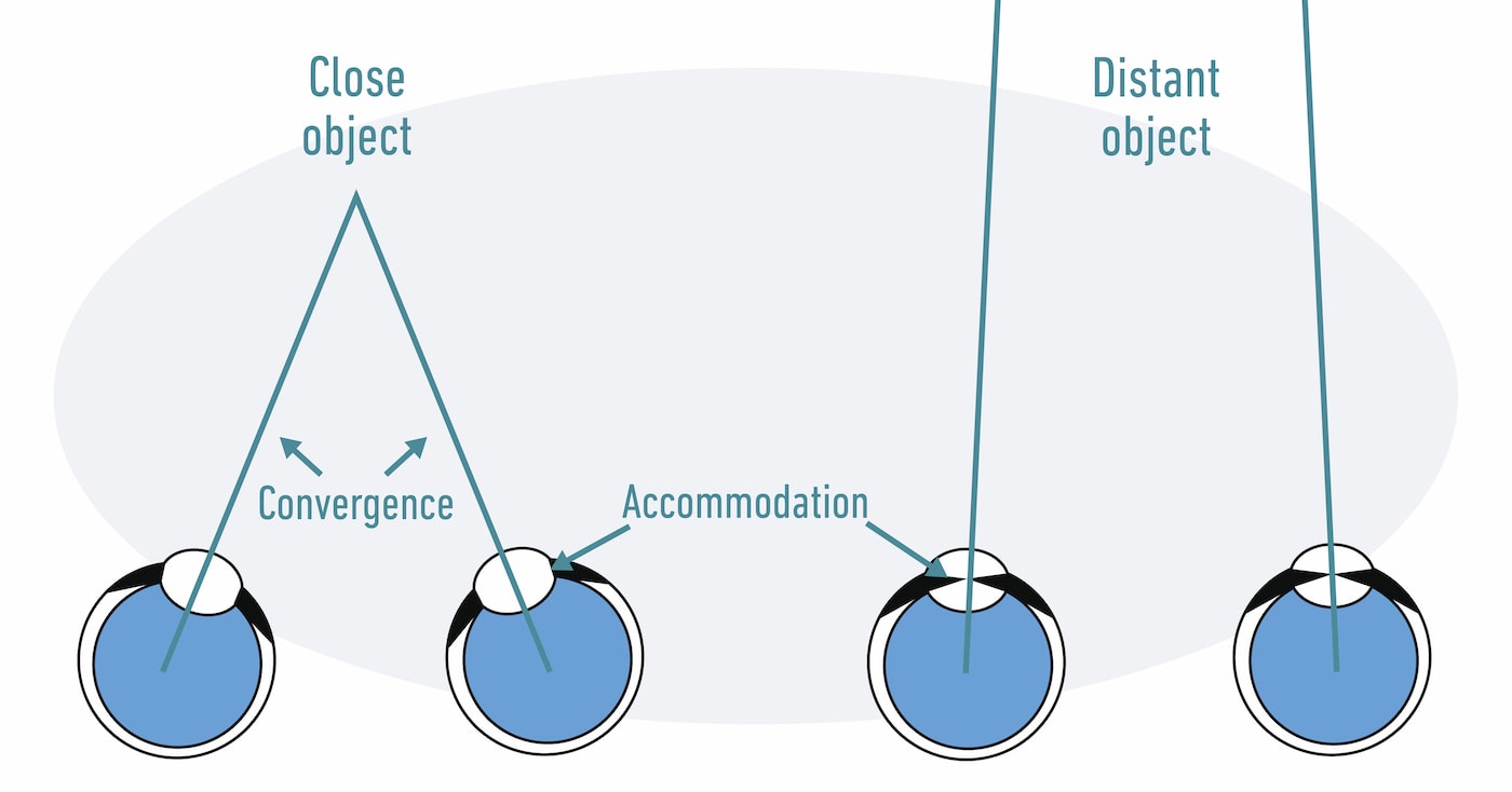 How to Choose a Pair of Binoculars You’ll Love (StepByStep Guide 2024)