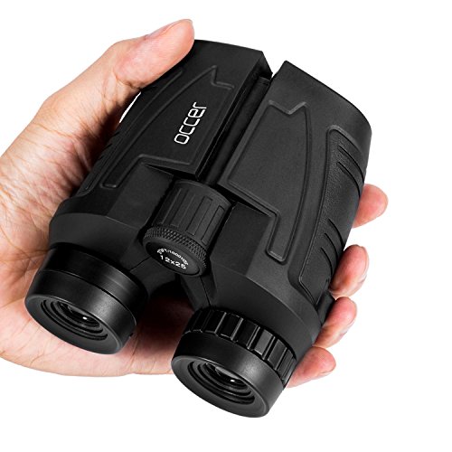 10 Best Binoculars for Bird Watching [Reviews 2022 ] Optics Mag