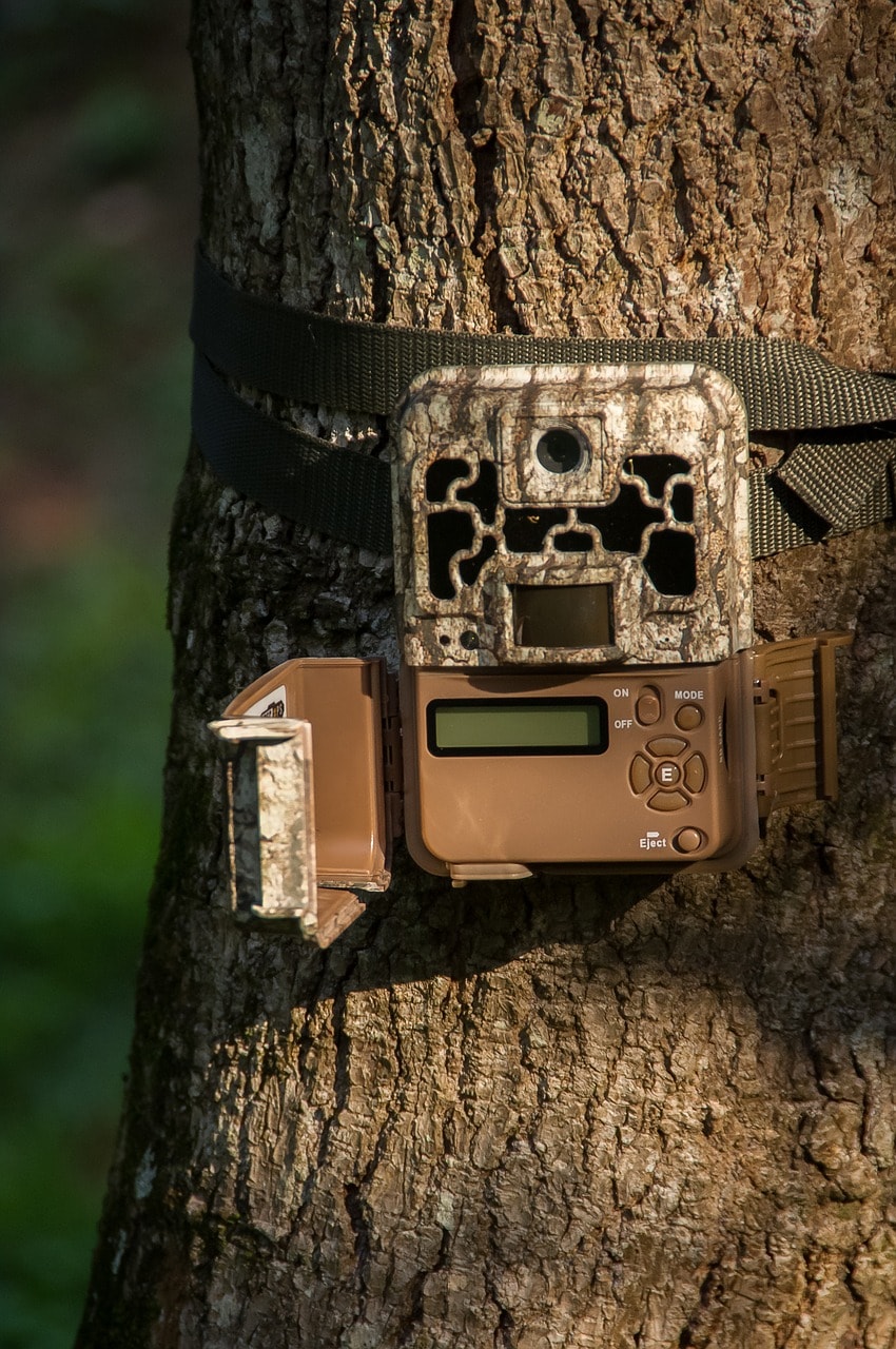 Buying a Trail Camera You'll Love 8 Features to Look For Optics Mag