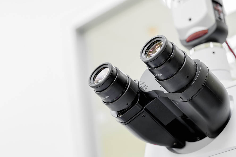 What Is the Ocular Lens on a Microscope? What to Know! Optics Mag