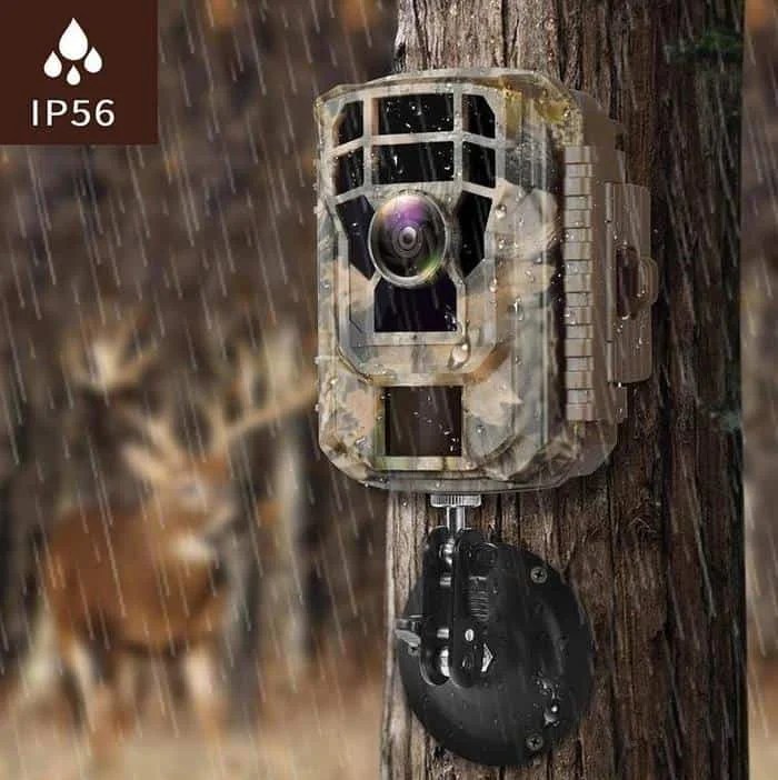 How Do Trail Cameras Work? OpticsMax