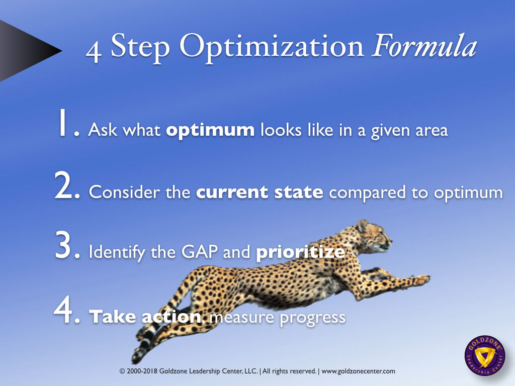 4Step Optimization Formula OPTIMA Coach