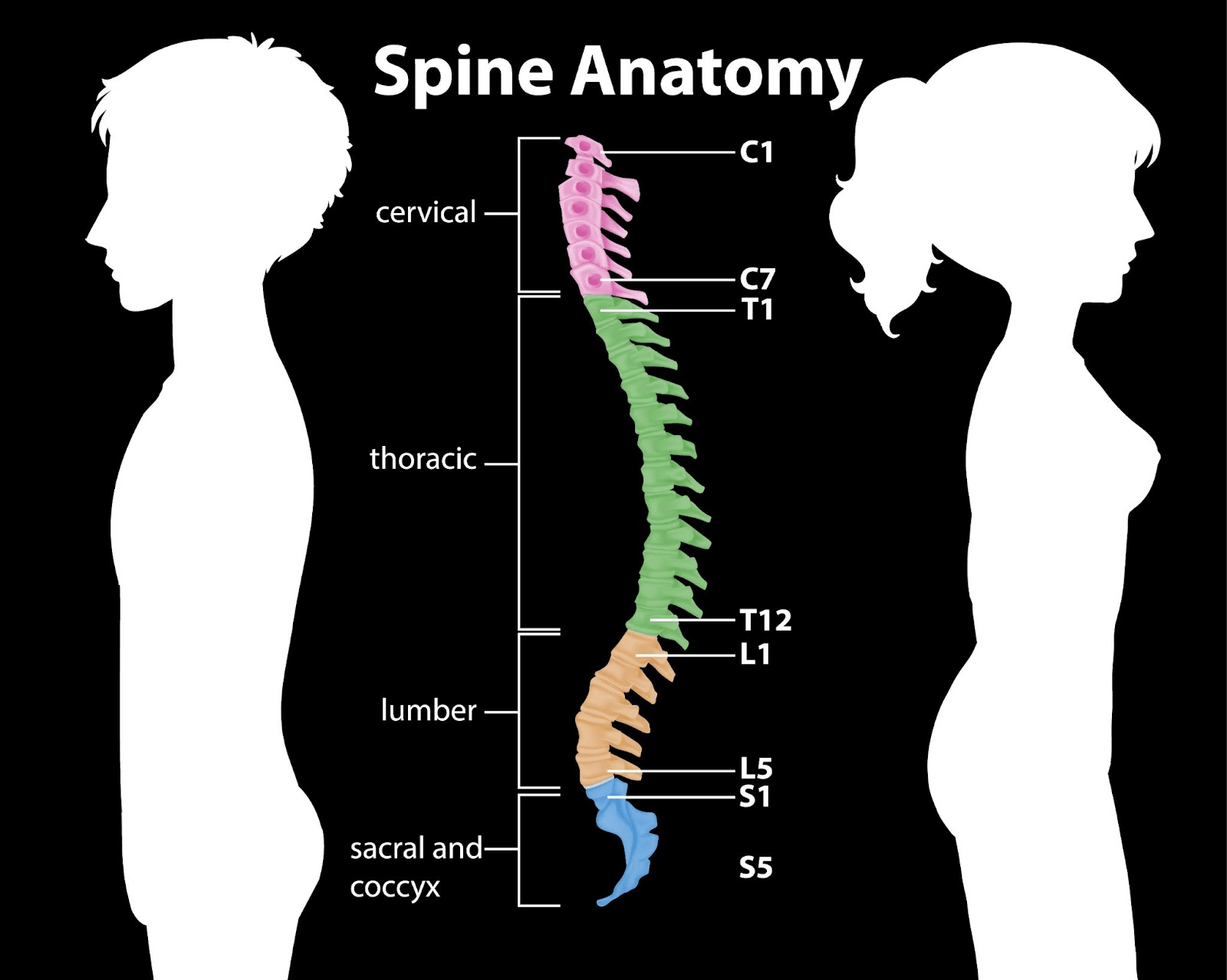 7 Ways Spinal Therapy Can Help Your Spine Optimal